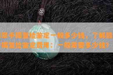 翡翠手镯复检鉴定一般多少钱，了解翡翠手镯复检鉴定费用：一般需要多少钱？