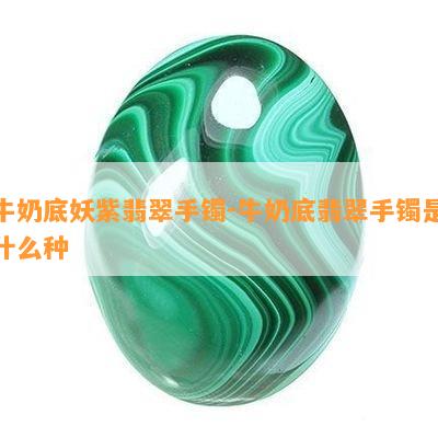 牛奶底妖紫翡翠手镯-牛奶底翡翠手镯是什么种