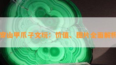 穿山甲爪子文玩：价值、图片全面解析