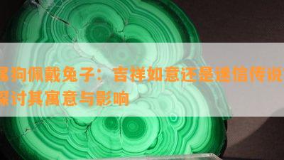 属狗佩戴兔子：吉祥如意还是迷信传说？探讨其寓意与影响