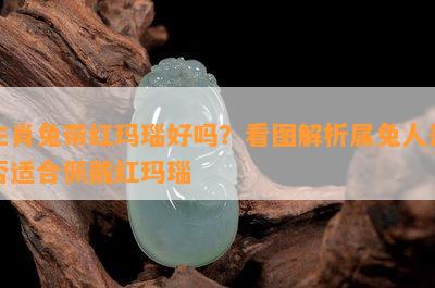 生肖兔带红玛瑙好吗？看图解析属兔人是否适合佩戴红玛瑙