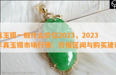 真玉镯一般什么价位2023，2023年真玉镯市场行情：价格区间与购买建议