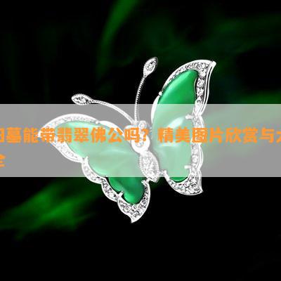 扫墓能带翡翠佛公吗？精美图片欣赏与大全