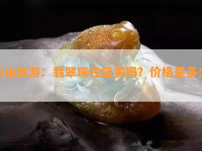 乐山旅游：翡翠现在能买吗？价格是多少？