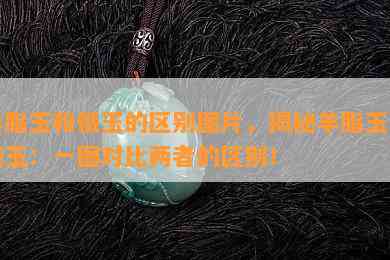 羊脂玉和俄玉的区别图片，揭秘羊脂玉与俄玉：一图对比两者的区别！