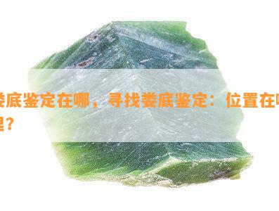 娄底鉴定在哪，寻找娄底鉴定：位置在哪里？