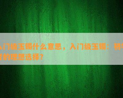 入门级玉镯什么意思，入门级玉镯：初学者的理想选择？