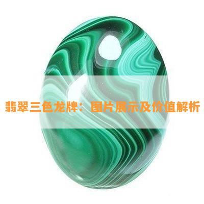 翡翠三色龙牌：图片展示及价值解析