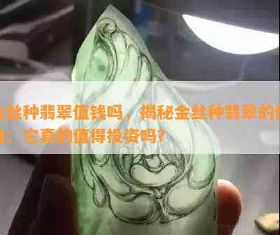 金丝种翡翠值钱吗，揭秘金丝种翡翠的价值：它真的值得投资吗？