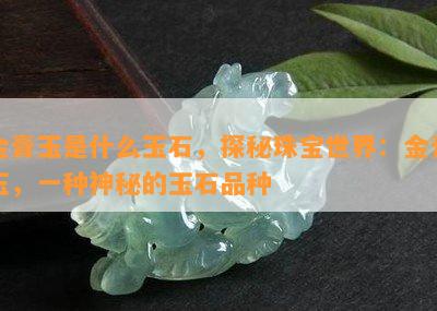 金膏玉是什么玉石，探秘珠宝世界：金膏玉，一种神秘的玉石品种