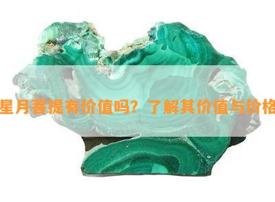 星月菩提有价值吗？了解其价值与价格