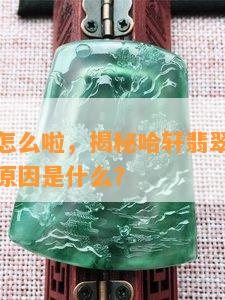 哈轩翡翠怎么啦，揭秘哈轩翡翠：引发关注的背后原因是什么？