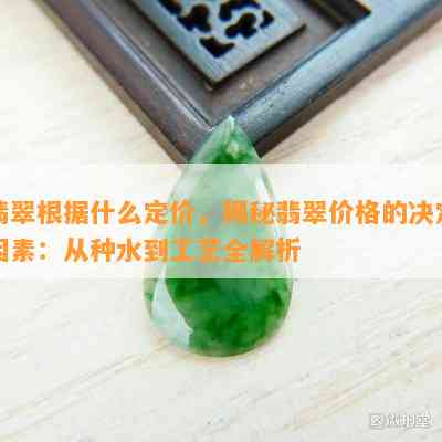 翡翠根据什么定价，揭秘翡翠价格的决定因素：从种水到工艺全解析