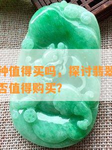 翡翠色压种值得买吗，探讨翡翠色压种的价值：是否值得购买？