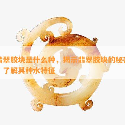 翡翠胶块是什么种，揭示翡翠胶块的秘密：了解其种水特征