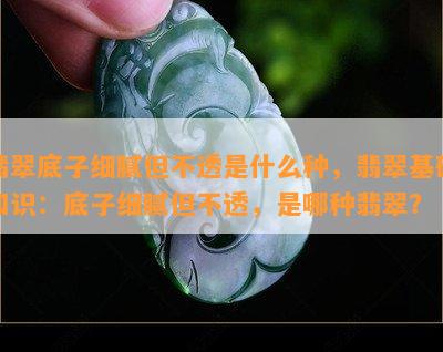 翡翠底子细腻但不透是什么种，翡翠基础知识：底子细腻但不透，是哪种翡翠？