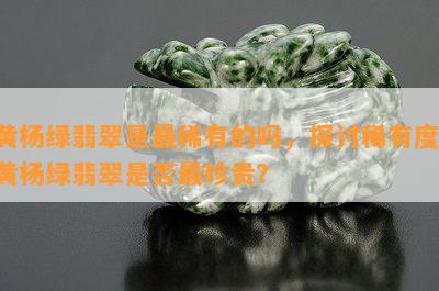 黄杨绿翡翠是最稀有的吗，探讨稀有度：黄杨绿翡翠是否最珍贵？