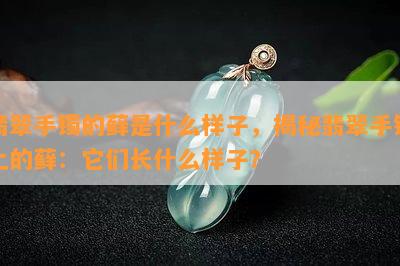 翡翠手镯的藓是什么样子，揭秘翡翠手镯上的藓：它们长什么样子？