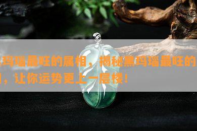 黑玛瑙最旺的属相，揭秘黑玛瑙最旺的属相，让你运势更上一层楼！