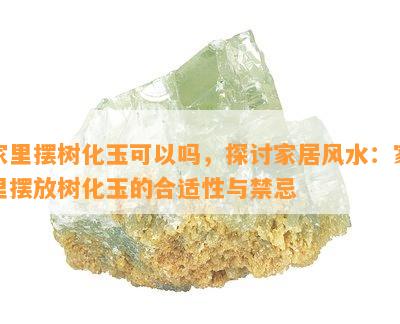 家里摆树化玉可以吗，探讨家居风水：家里摆放树化玉的合适性与禁忌