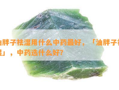 油胖子祛湿用什么中药更好，「油胖子祛湿」，中药选什么好？