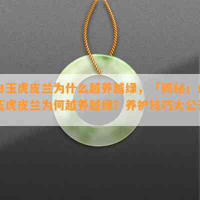 白玉虎皮兰为什么越养越绿，「揭秘」白玉虎皮兰为何越养越绿？养护技巧大公开！