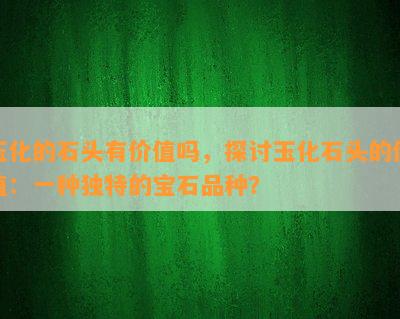 玉化的石头有价值吗，探讨玉化石头的价值：一种独特的宝石品种？