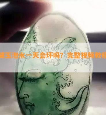 珊瑚玉泡水一天会坏吗？完整视频教程解析