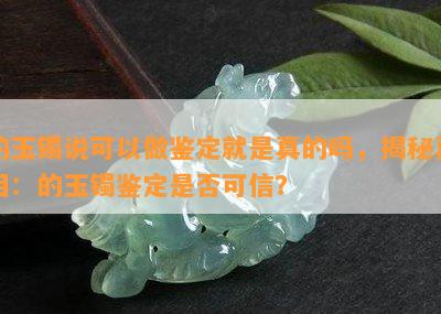 的玉镯说可以做鉴定就是真的吗，揭秘真相：的玉镯鉴定是否可信？