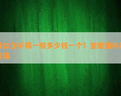 黄口玉手镯一般多少钱一个？查看图片及价格