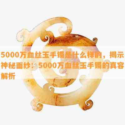 5000万血丝玉手镯是什么样的，揭示神秘面纱：5000万血丝玉手镯的真容解析