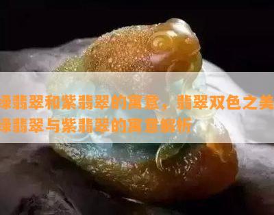 绿翡翠和紫翡翠的寓意，翡翠双色之美：绿翡翠与紫翡翠的寓意解析