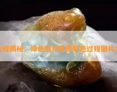 全程揭秘：绿色飘花菩提变色过程图片大