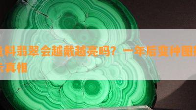 危料翡翠会越戴越亮吗？一年后变种图揭示真相