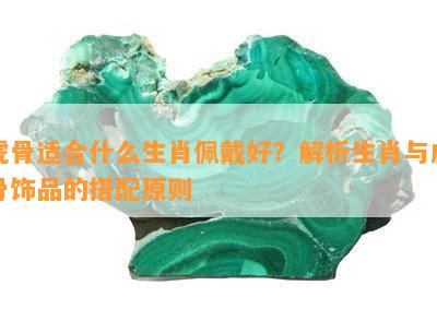 虎骨适合什么生肖佩戴好？解析生肖与虎骨饰品的搭配原则