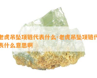 老虎吊坠项链代表什么-老虎吊坠项链代表什么意思啊