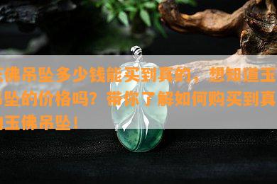 玉佛吊坠多少钱能买到真的，想知道玉佛吊坠的价格吗？带你了解如何购买到真正的玉佛吊坠！