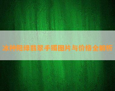 冰种阳绿翡翠手镯图片与价格全解析