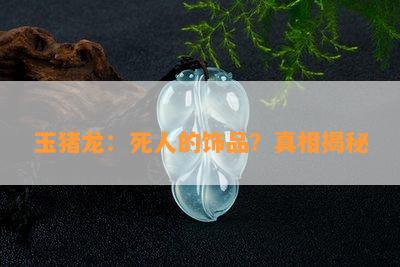 玉猪龙：死人的饰品？真相揭秘