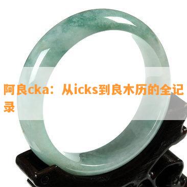 阿良cka：从icks到良木历的全记录