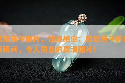 翡翠燕子图片，惊艳绝伦：翡翠燕子的美丽瞬间，令人屏息的高清图片！