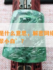 翡翠小白是什么意思，解密网络用语：什么是‘翡翠小白’？