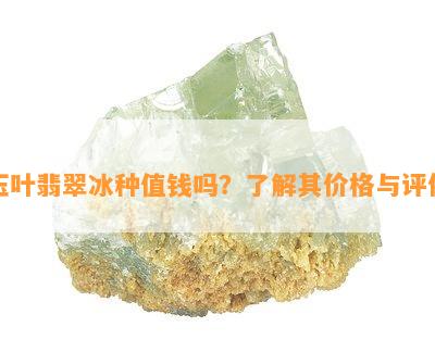 玉叶翡翠冰种值钱吗？了解其价格与评价