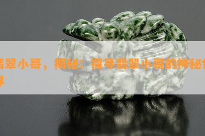 翡翠小哥，揭秘：探寻翡翠小哥的神秘世界