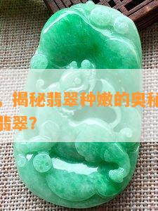 翡翠种嫩，揭秘翡翠种嫩的奥秘：如何辨别高质量翡翠？