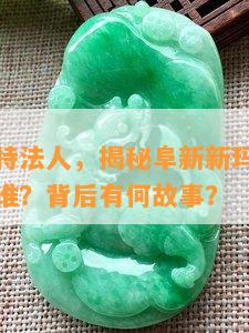 阜新新玛特法人，揭秘阜新新玛特法人身份：他是谁？背后有何故事？