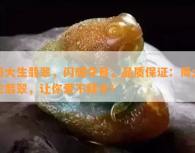 周大生翡翠，闪耀夺目，品质保证：周大生翡翠，让你爱不释手！