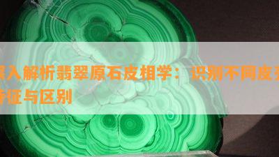 深入解析翡翠原石皮相学：识别不同皮壳特征与区别