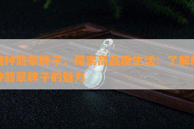 糯种翡翠牌子，探索高品质生活：了解糯种翡翠牌子的魅力