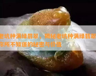 老坑种满绿翡翠，揭秘老坑种满绿翡翠：你所不知道的秘密与价值